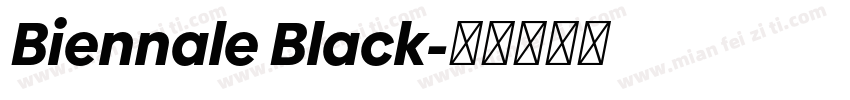 Biennale Black字体转换